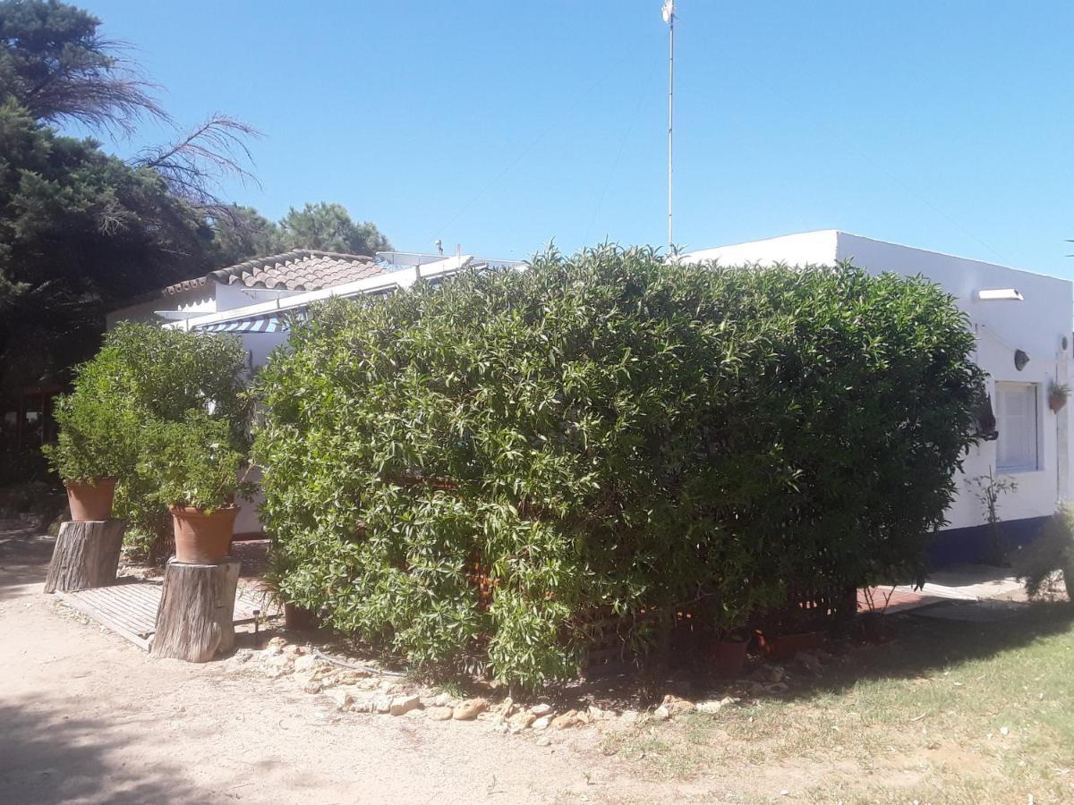 En Finca Las Dunas Dos Chalets Con Jacuzzis En Primera Linea De Playa , Uno De 4 Dormitorios Y Otro De 2 Dormitorios, Llama Al Seiscientos Veintisiete Cuatrocientos Diecisiete Trescientos Noventa Y Ocho 罗塔 外观 照片