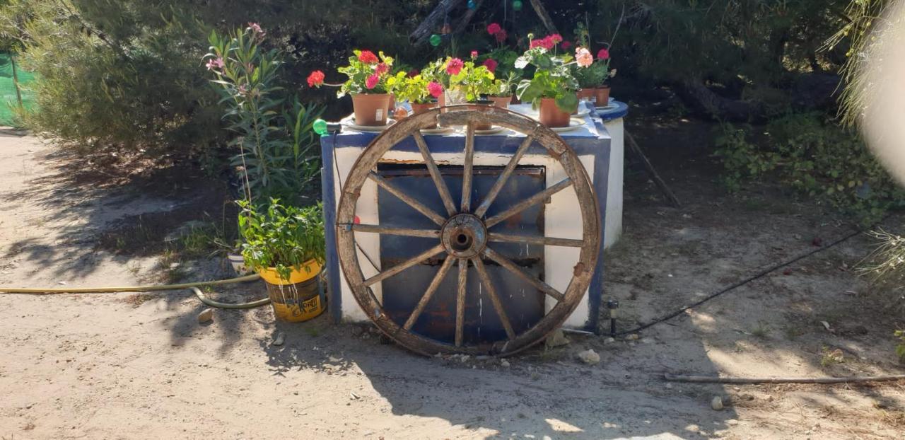 En Finca Las Dunas Dos Chalets Con Jacuzzis En Primera Linea De Playa , Uno De 4 Dormitorios Y Otro De 2 Dormitorios, Llama Al Seiscientos Veintisiete Cuatrocientos Diecisiete Trescientos Noventa Y Ocho 罗塔 外观 照片