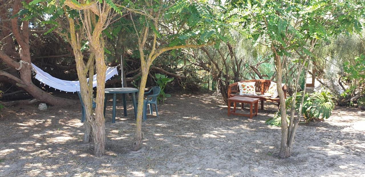 En Finca Las Dunas Dos Chalets Con Jacuzzis En Primera Linea De Playa , Uno De 4 Dormitorios Y Otro De 2 Dormitorios, Llama Al Seiscientos Veintisiete Cuatrocientos Diecisiete Trescientos Noventa Y Ocho 罗塔 外观 照片