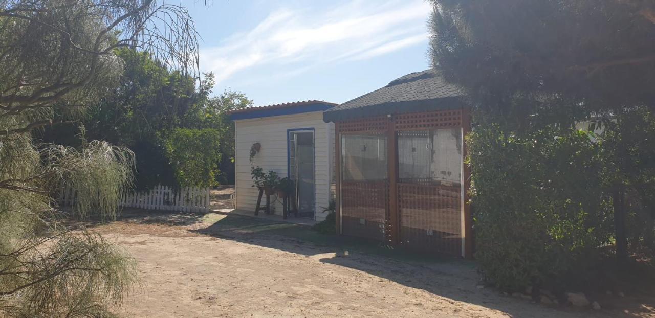 En Finca Las Dunas Dos Chalets Con Jacuzzis En Primera Linea De Playa , Uno De 4 Dormitorios Y Otro De 2 Dormitorios, Llama Al Seiscientos Veintisiete Cuatrocientos Diecisiete Trescientos Noventa Y Ocho 罗塔 外观 照片