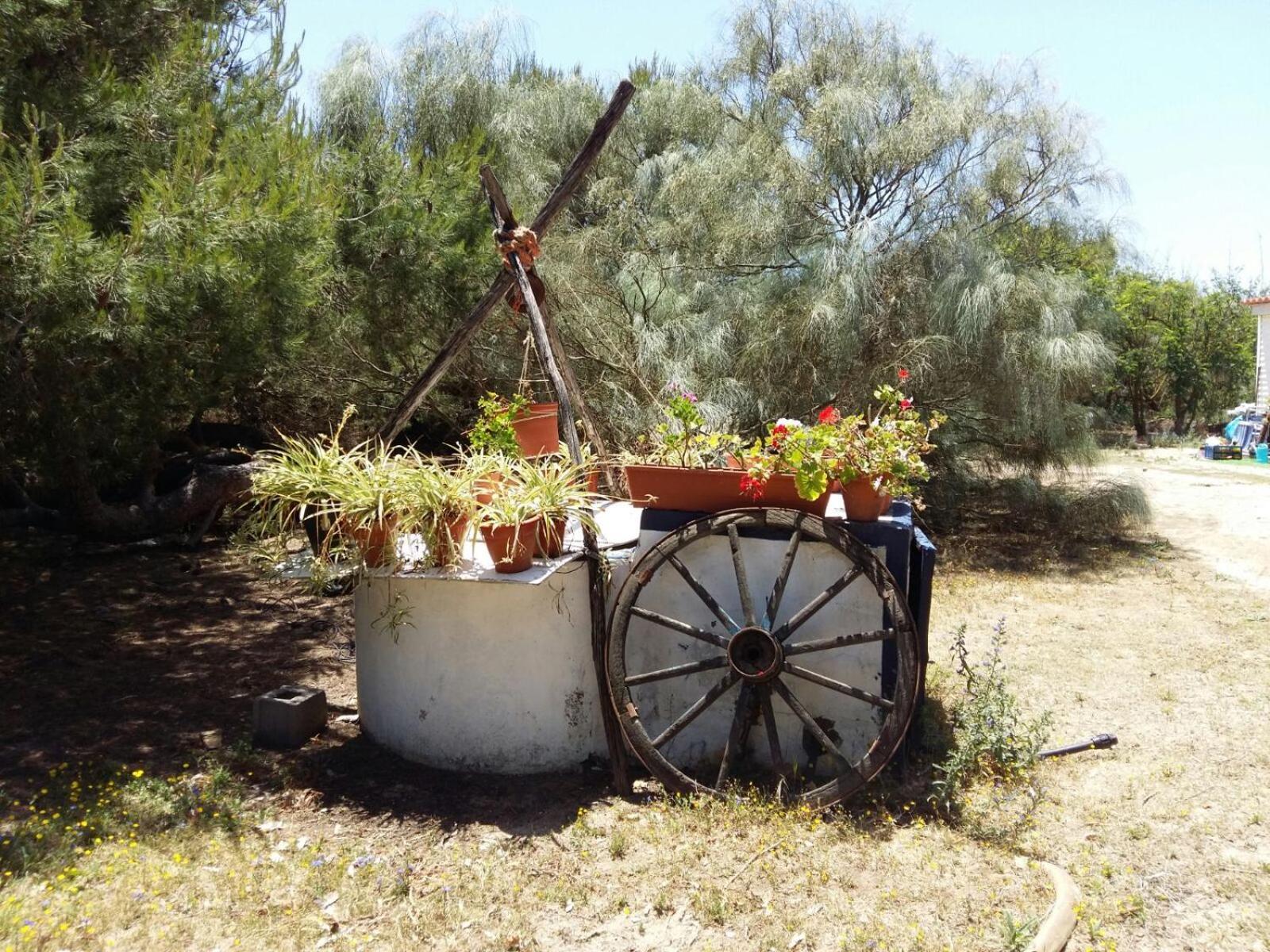 En Finca Las Dunas Dos Chalets Con Jacuzzis En Primera Linea De Playa , Uno De 4 Dormitorios Y Otro De 2 Dormitorios, Llama Al Seiscientos Veintisiete Cuatrocientos Diecisiete Trescientos Noventa Y Ocho 罗塔 外观 照片