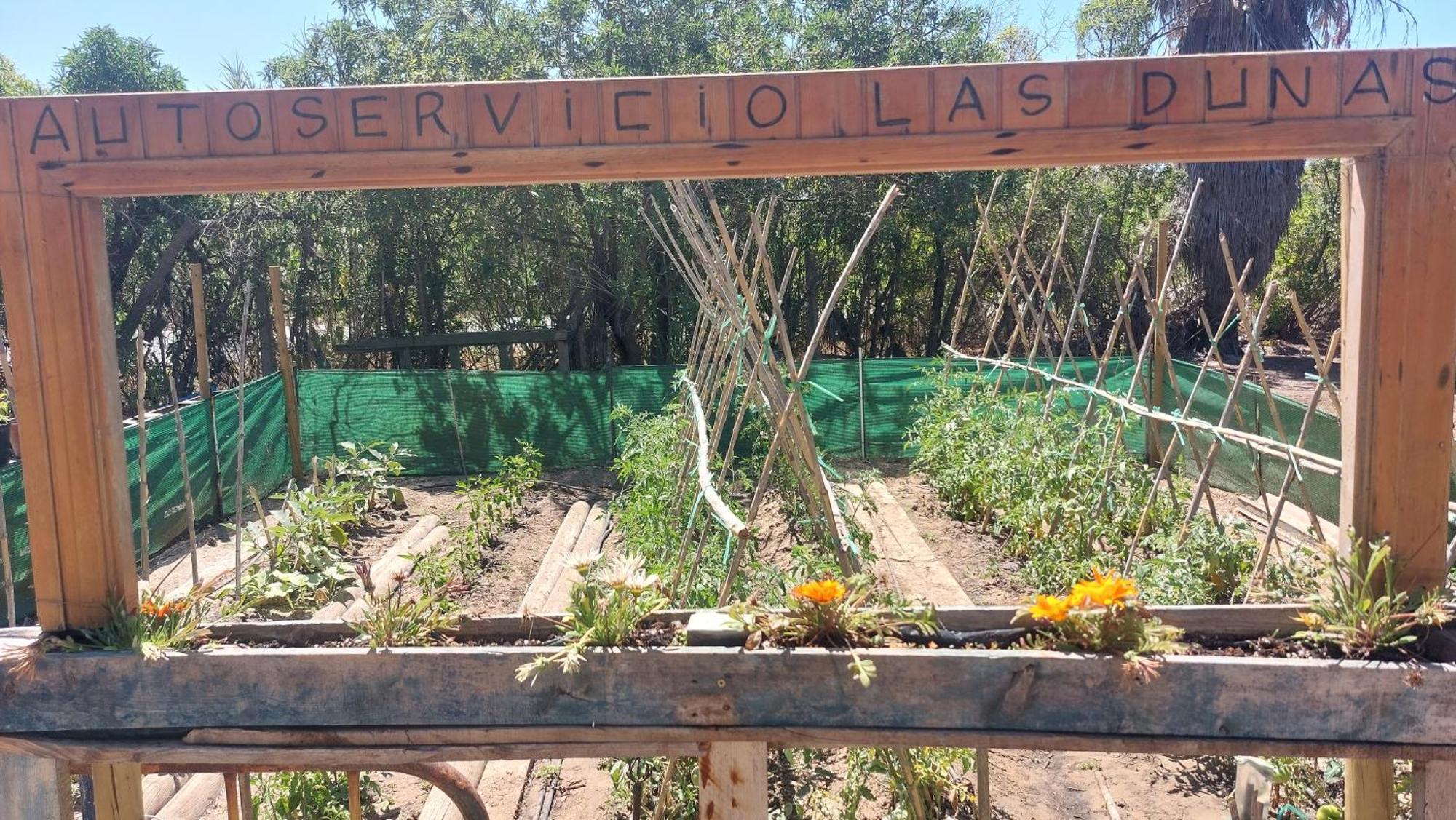 En Finca Las Dunas Dos Chalets Con Jacuzzis En Primera Linea De Playa , Uno De 4 Dormitorios Y Otro De 2 Dormitorios, Llama Al Seiscientos Veintisiete Cuatrocientos Diecisiete Trescientos Noventa Y Ocho 罗塔 客房 照片