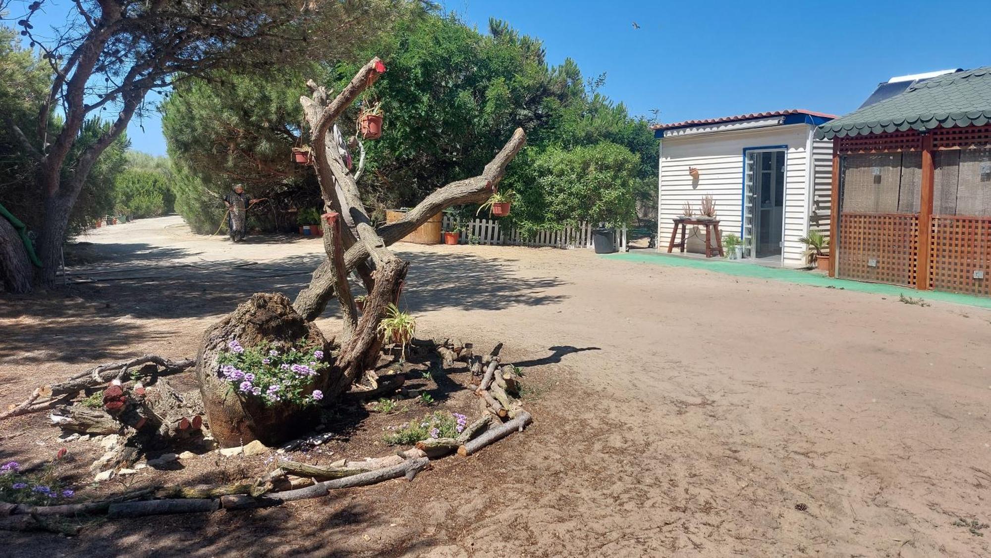 En Finca Las Dunas Dos Chalets Con Jacuzzis En Primera Linea De Playa , Uno De 4 Dormitorios Y Otro De 2 Dormitorios, Llama Al Seiscientos Veintisiete Cuatrocientos Diecisiete Trescientos Noventa Y Ocho 罗塔 外观 照片