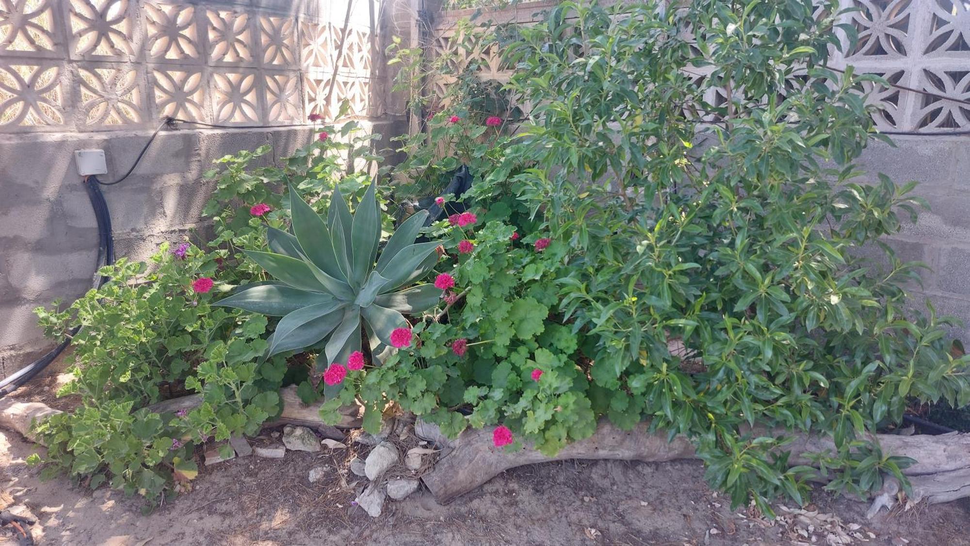 En Finca Las Dunas Dos Chalets Con Jacuzzis En Primera Linea De Playa , Uno De 4 Dormitorios Y Otro De 2 Dormitorios, Llama Al Seiscientos Veintisiete Cuatrocientos Diecisiete Trescientos Noventa Y Ocho 罗塔 客房 照片