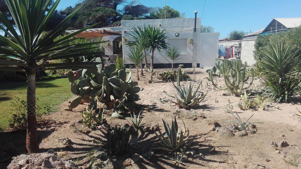 En Finca Las Dunas Dos Chalets Con Jacuzzis En Primera Linea De Playa , Uno De 4 Dormitorios Y Otro De 2 Dormitorios, Llama Al Seiscientos Veintisiete Cuatrocientos Diecisiete Trescientos Noventa Y Ocho 罗塔 外观 照片