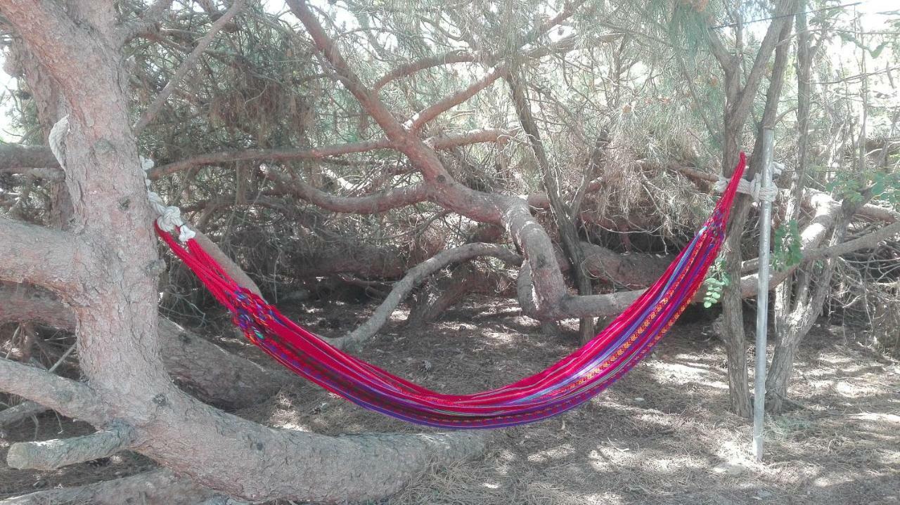 En Finca Las Dunas Dos Chalets Con Jacuzzis En Primera Linea De Playa , Uno De 4 Dormitorios Y Otro De 2 Dormitorios, Llama Al Seiscientos Veintisiete Cuatrocientos Diecisiete Trescientos Noventa Y Ocho 罗塔 外观 照片