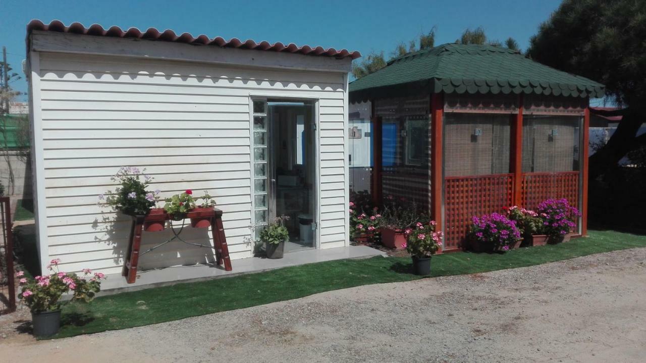 En Finca Las Dunas Dos Chalets Con Jacuzzis En Primera Linea De Playa , Uno De 4 Dormitorios Y Otro De 2 Dormitorios, Llama Al Seiscientos Veintisiete Cuatrocientos Diecisiete Trescientos Noventa Y Ocho 罗塔 外观 照片